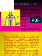 Sistema Circulatorio