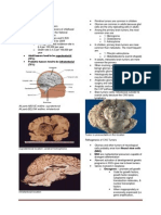 CNS Tumors: Adult Tumors Tend To Be Supratentorial (70%) Pediatric Tumors Tend To Be Infratentorial (70%)