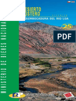 Desierto Costero Desembocadura Del Río Loa - Ruta 25