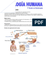 Fisiologia Humana Basica