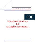 Nociones Basicas de Algebra Matricial