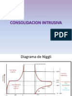 Consolidacion Intrusiva