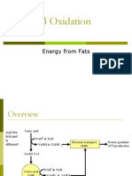 Oxidation: Energy From Fats