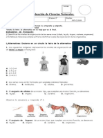 5°prueba CienciasNaturales Célula