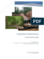 Caminos Forestales