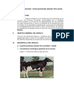 Modulo Clasificacion y Evaluacion Del Bovino Tipo Leche y Carne