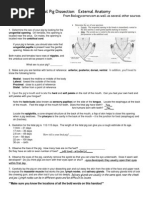 Bio 12 - Fetal Pig Dissection