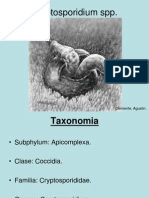 Cryptosporidium SPP