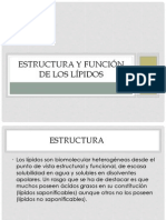 Estructura y Función de Los Lípidos