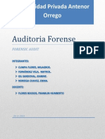 AUDITORIA FORENSE Presentacion