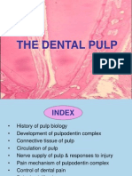 Dental Pulp