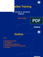 Pipesim Training: 25 - Oct-04 To 29-Jul-04 Gatwick