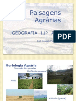 Paisagem Agrária