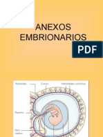 Anexos Embrionarios