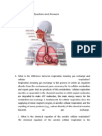 Respiratory System Questions and Answers Bios