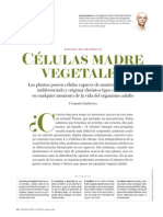 Celulas Madres y Vegetales