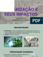 Urbanização e Seus Impactos