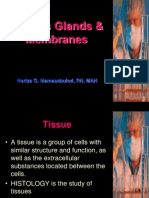 Chapter 4 - Tissues Glands and Membranes