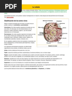 Biologia Celula Biomoleculas