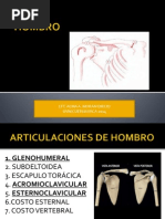 Hombro Terapia Manual