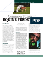 Common Toxins in Equine Feedstuffs