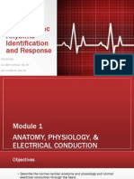 Basic EKG Refresher