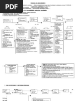 Flujogramas CPC