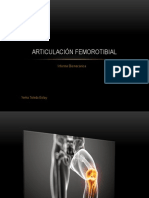 Articulación Femorotibial