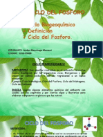 Ciclo Fosforo