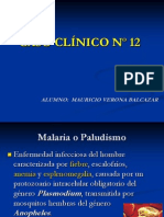 20 Malaria o Paludismo 1