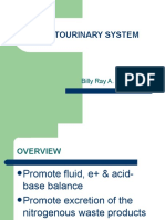 Genitourinary System: Billy Ray A. Marcelo, RN