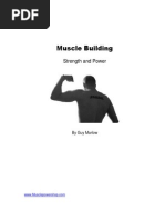 Muscle Building - Strength Power