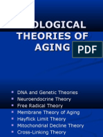 Biological Theories of Aging