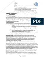 Documento Apoyo Planificacion 206