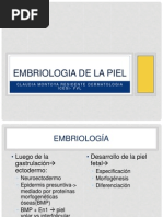 Embriologia de La Piel