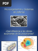 Microorganismos y Sistemas de Defensa