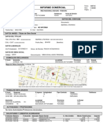 Informe Comercial