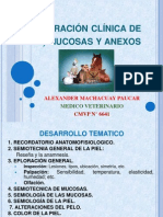 Valoración Clinica de La Piel