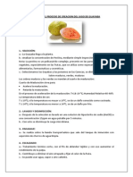 Etapas Del Proceso de Creacion Del Jugo de Guayaba