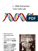 Lab 5 - DNA Extraction From Cells