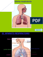 Presentación 1