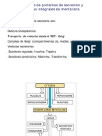 Biologia Celular - Clase 06