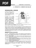 AP Cardiovascular