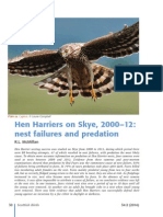 Hen Harriers Nest Failures & Predation On Skye. From Scottish Birds Magazine Feb 14