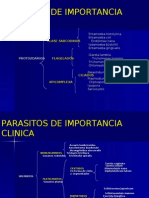 Protozoarios 1