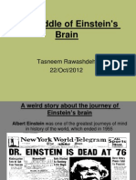 The Riddle of Einstein's Brain