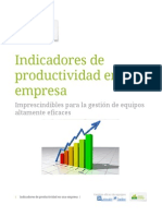 Indicadores de Productividad en Una Empresa