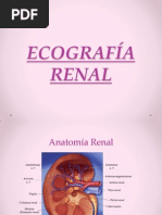 Sistema Renal .Eco