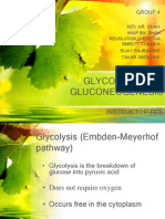 Glycolysis and Gluconeogenesis: Instructor-Rcl