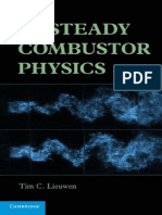 Unsteady Combustor Physics